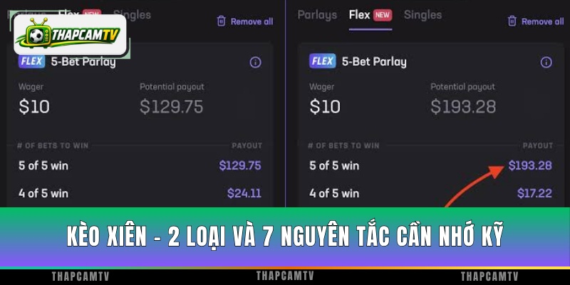 Kèo Xiên - 2 Loại Và 7 Nguyên Tắc Cần Nhớ Kỹ